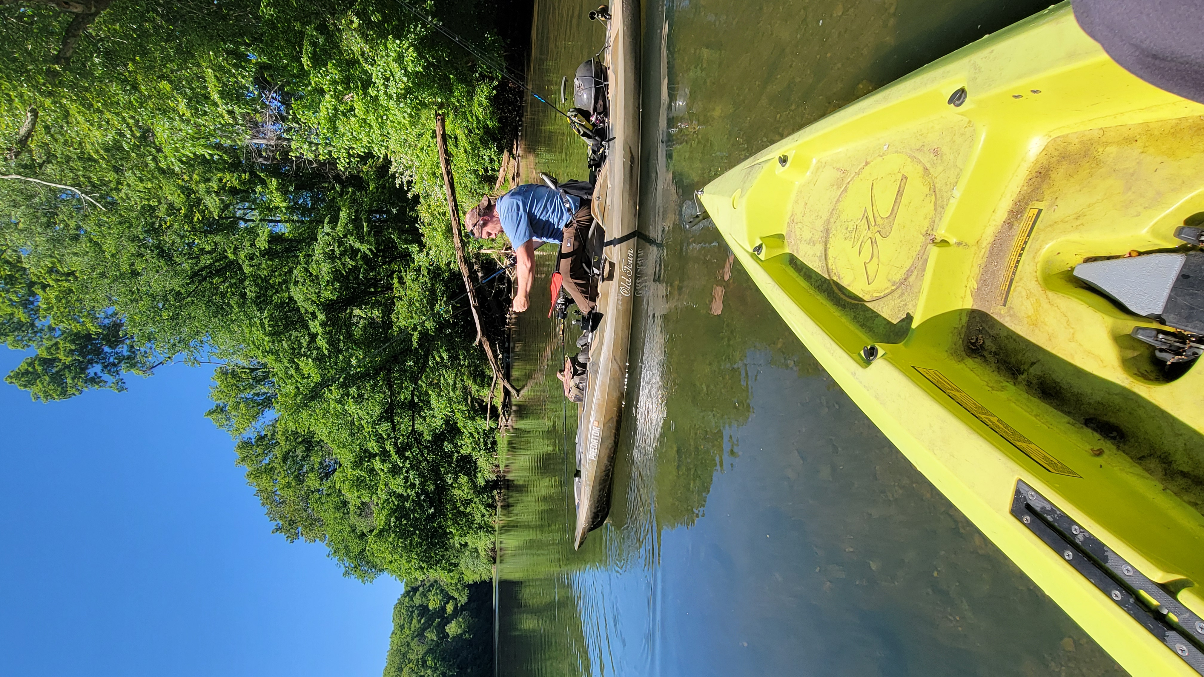 Quiet moments by the Collins River