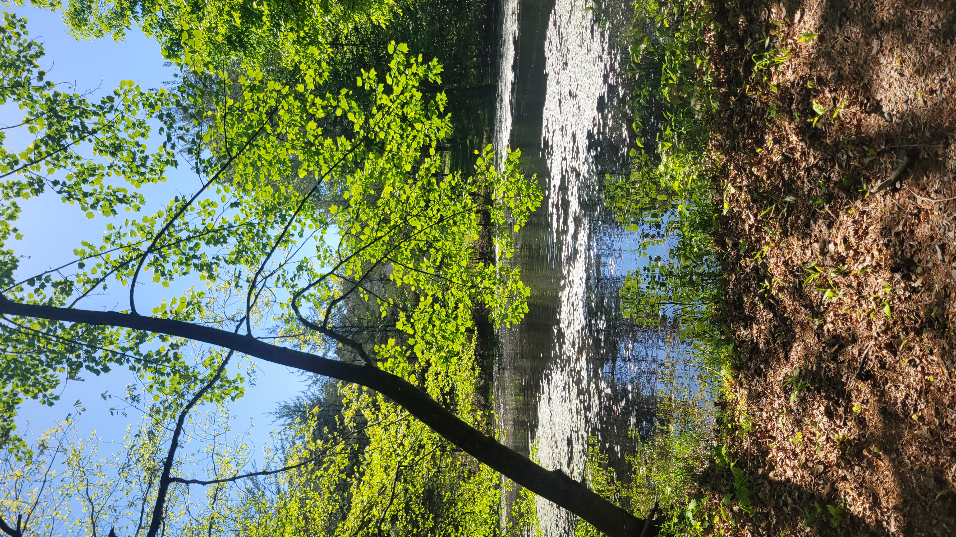 Still waters, slower breath