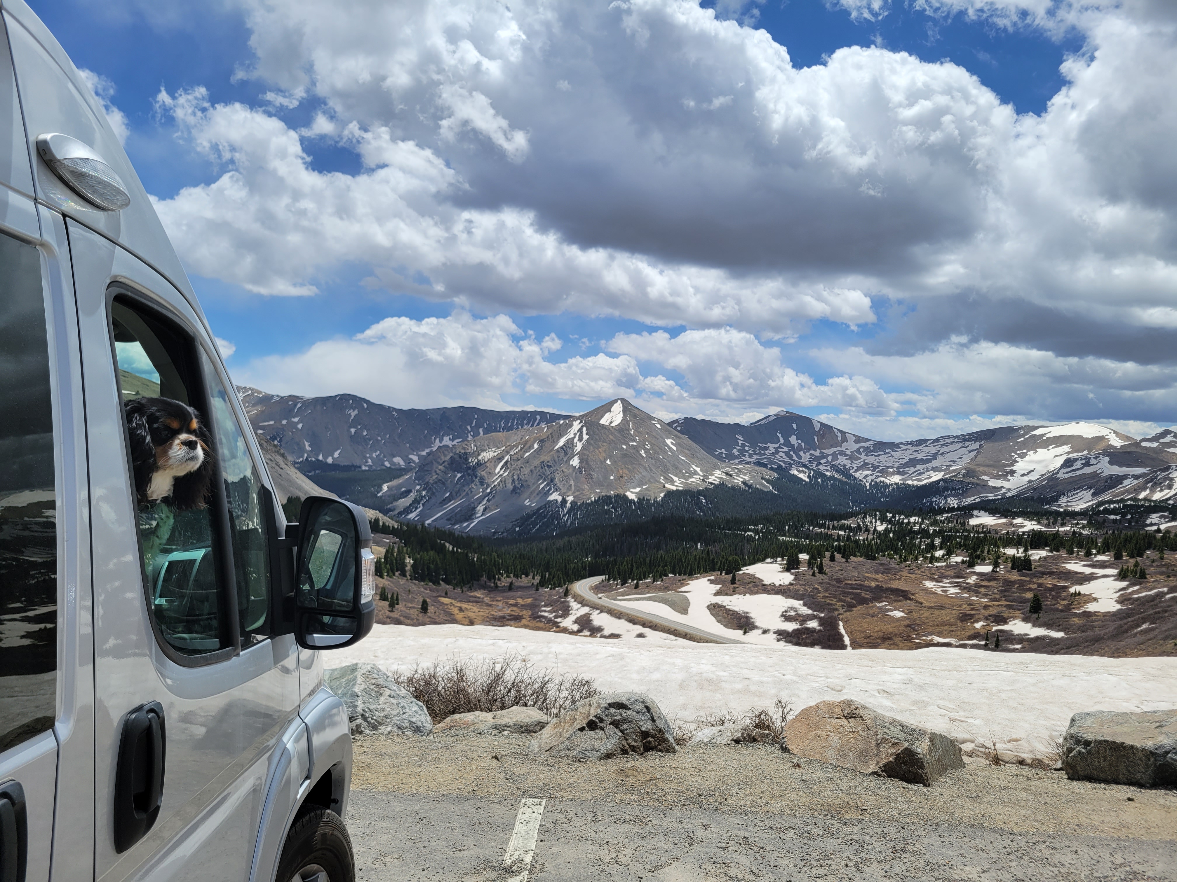 Campervan companions