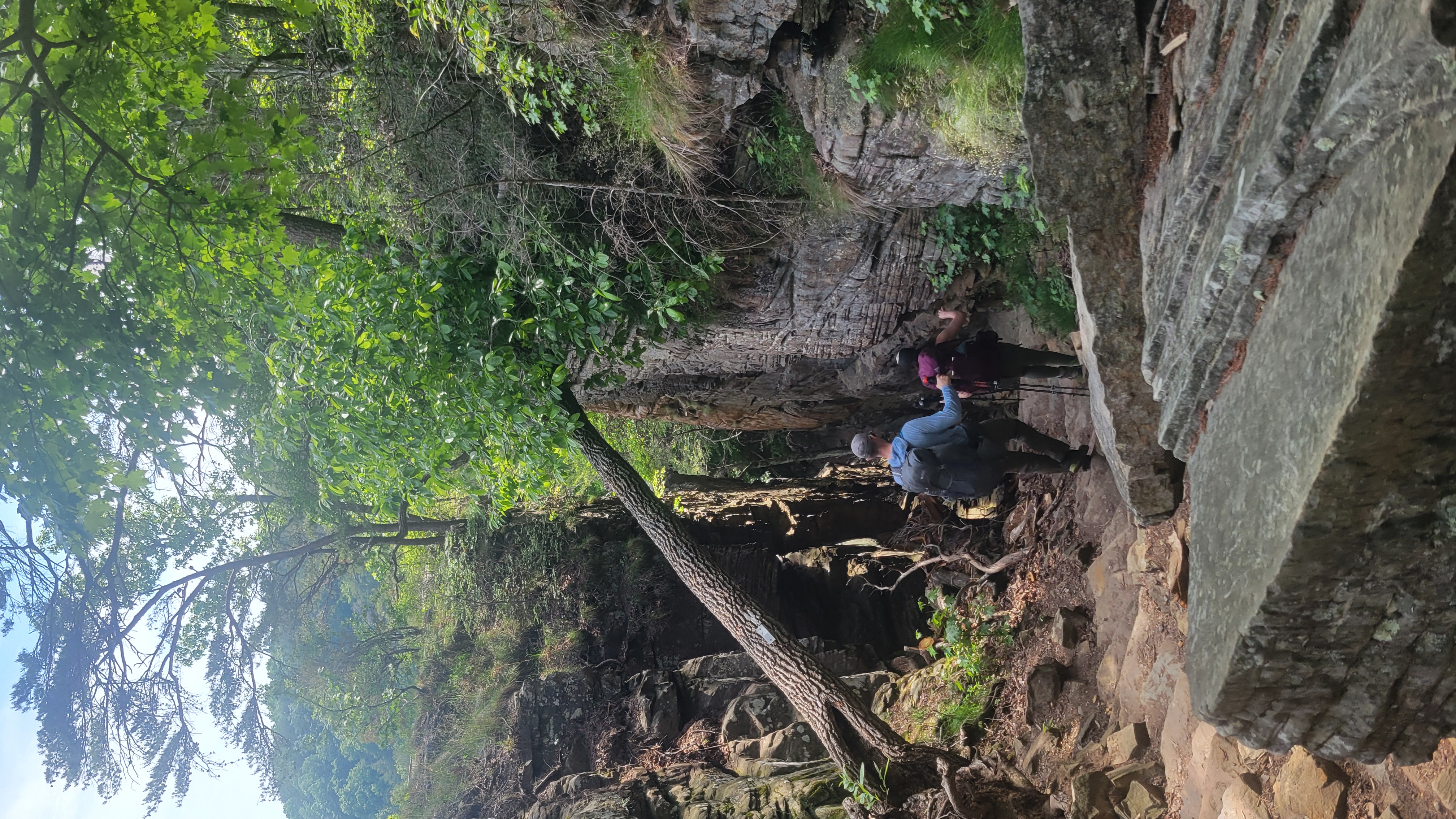 Savage Gulf paths